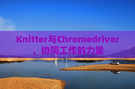 Knitter与Chromedriver,协同工作的力量 Knitter与Chromedriver,协同工作的力量
